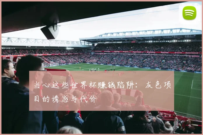 当心这些世界杯赚钱陷阱：灰色项目的诱惑与代价
