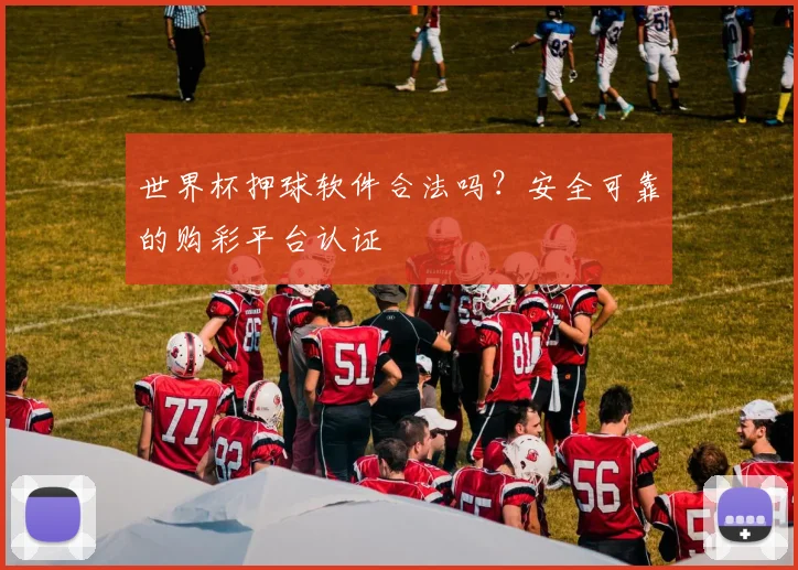 世界杯押球软件合法吗？安全可靠的购彩平台认证
