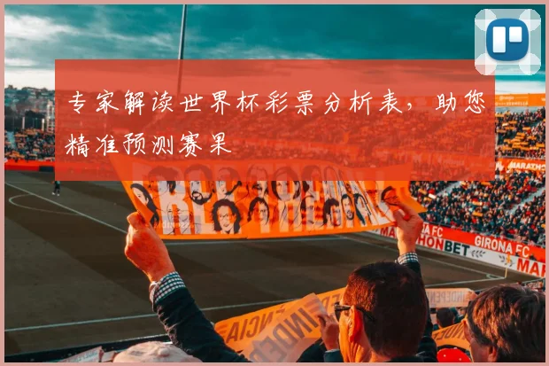 专家解读世界杯彩票分析表,助您精准预测赛果