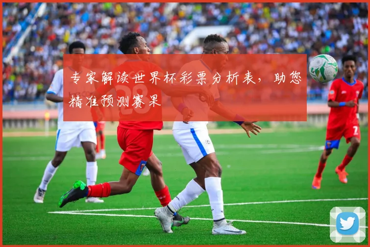 专家解读世界杯彩票分析表,助您精准预测赛果