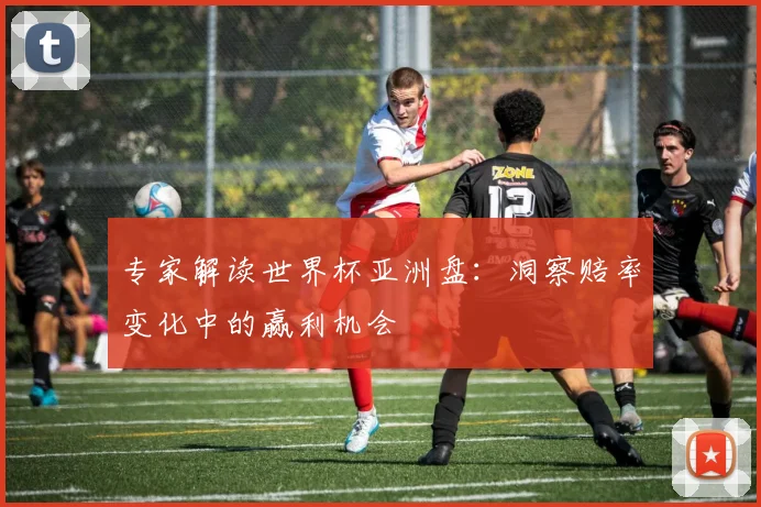 专家解读世界杯亚洲盘:洞察赔率变化中的赢利机会