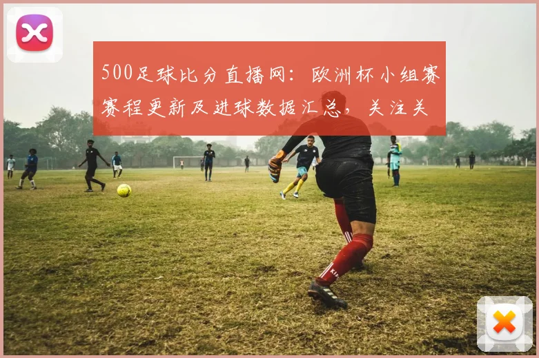 500足球比分直播网：欧洲杯小组赛赛程更新及进球数据汇总，关注关键对位与积分变化
