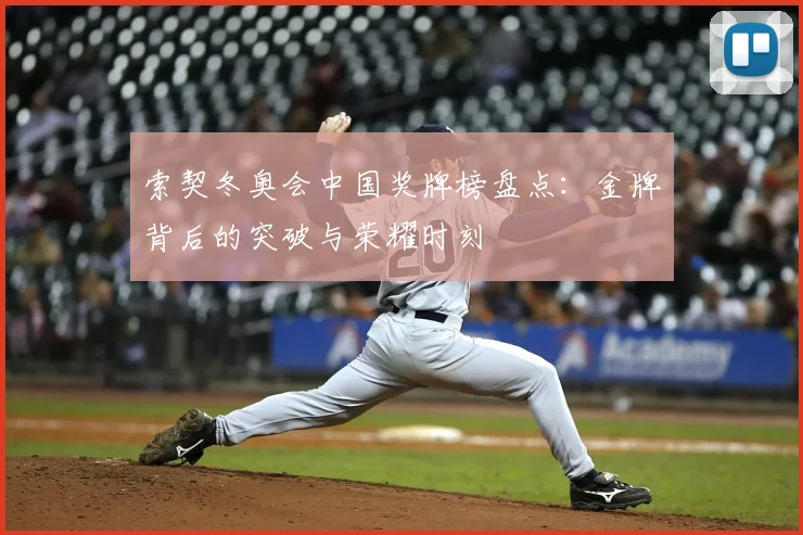 索契冬奥会中国奖牌榜盘点：金牌背后的突破与荣耀时刻